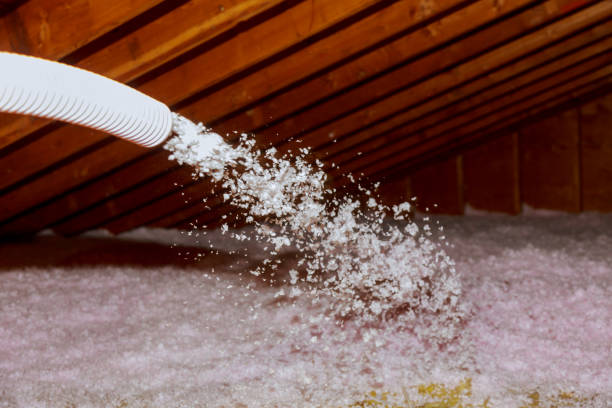 Professional Insulation Contractor in IL