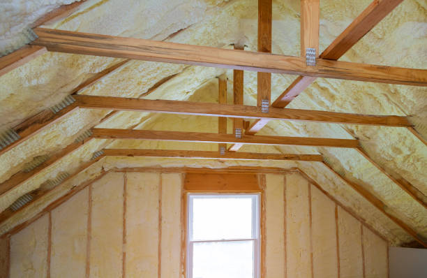 Best Types of Insulation in Leland Grove, IL