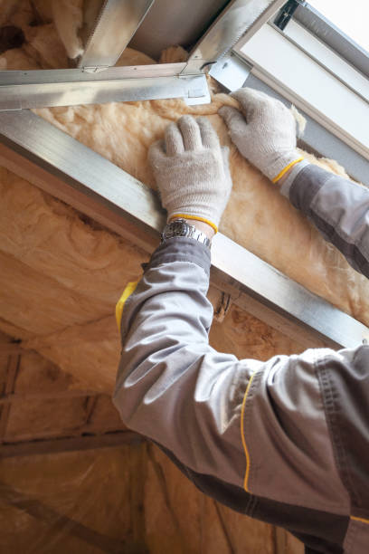Best Insulation for Specific Applications in Leland Grove, IL