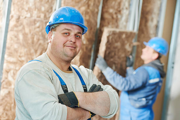 Best Insulation Maintenance and Repair in Leland Grove, IL