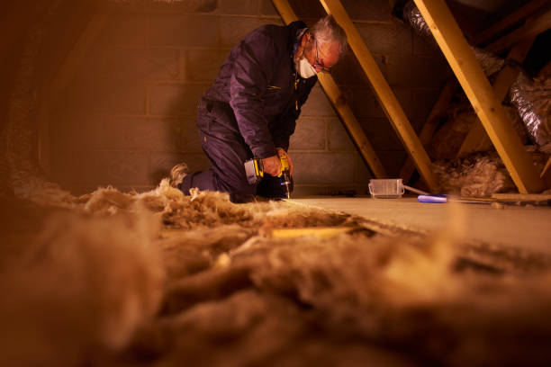 Best Insulation Installation Services in Leland Grove, IL